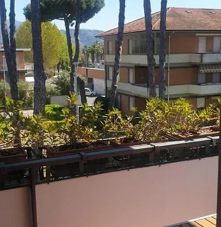 Carachouse-lido Di Camaiore, Tra Pini Marini E Mare