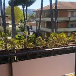 Carachouse-lido Di Camaiore, Tra Pini Marini E Mare