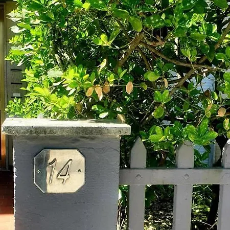 Apartment Carachouse-lido Di Camaiore, Tra Pini Marini E Mare *